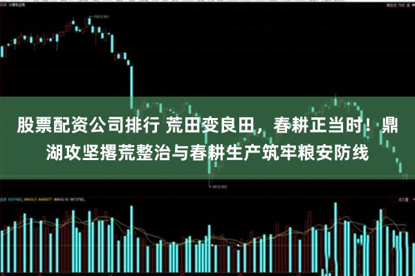 股票配资公司排行 荒田变良田，春耕正当时！鼎湖攻坚撂荒整治与春耕生产筑牢粮安防线