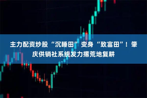 主力配资炒股 “沉睡田” 变身 “致富田”！肇庆供销社系统发力撂荒地复耕