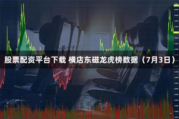 股票配资平台下载 横店东磁龙虎榜数据（7月3日）
