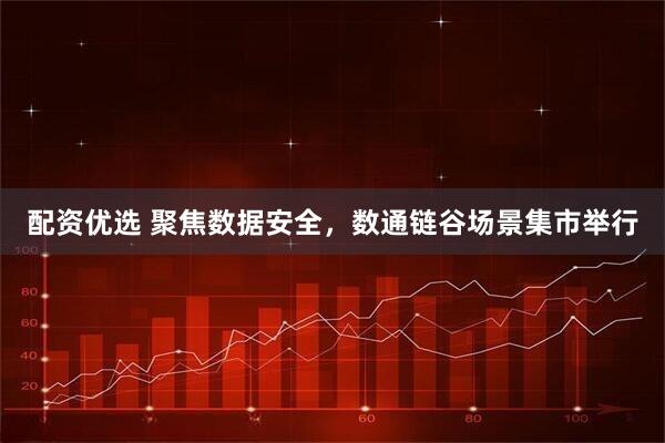 配资优选 聚焦数据安全，数通链谷场景集市举行